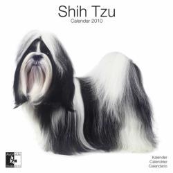 Shih Tzu 2010 Calendar