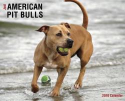 American Pit Bulls 2010 Calendar