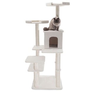 66-inch Bungalow Cat Furniture Tree Condo