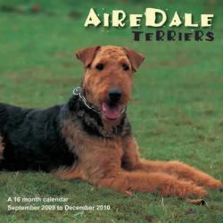 Airedale Terriers 2010 Calendar