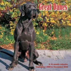 Great Danes 2010 Calendar