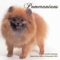 Pomeranians 2010 Calendar
