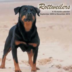 Rottweilers 2010 Calendar