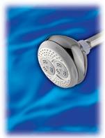 Waterpik Showerhead