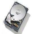 30GB IBM IDE Hard Drive (OEM) (Refurb)