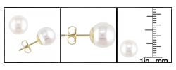 14k Yellow Gold 8-8.5mm Cultured Pearl  Earrings (Case of 3)