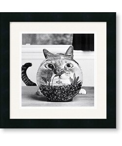 Cydney Conger 'Cat Fish' Framed Art Print