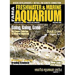 Freshwater and Marine Aquarium