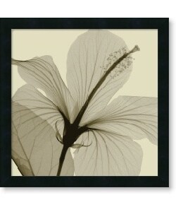 Steven N. Meyers Hibiscus Framed Canvas Art