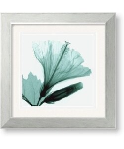 Steven N. Meyers Hibiscus & Bud Framed Art Print