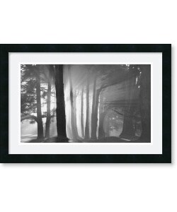 Mark Citret Morning, Harding Park, San Francisco Framed Art Print