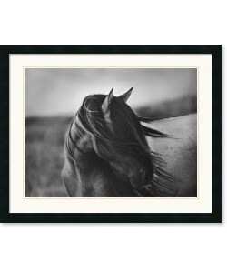 Tony Stromberg Fierce Grace Framed Art Print