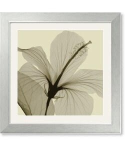 Steven N. Meyers Hibiscus Framed Art Print