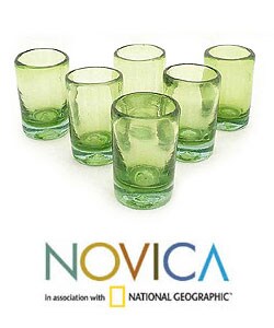 Lime and Salt 6-piece Shot Glass Set (Mexico)