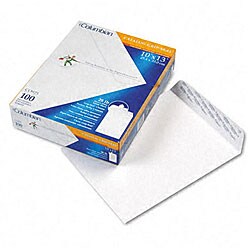 Mead Catalog 10x13-inch Envelopes (Box of 100)