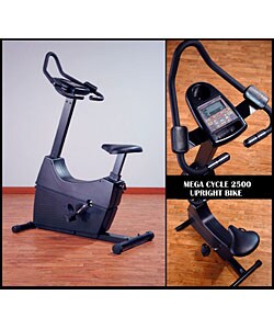 Deluxe Upright Bike