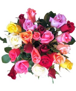 Simply Two Dozen Multicolored Roses