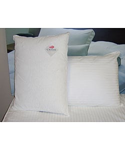 Outlast Cooling Pillow Pair
