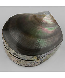 Mother of Pearl Shell Jewelry Box (Indonesia)