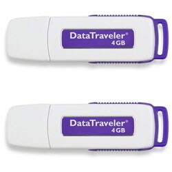Kingston 4GB DataTraveler Flash Drive (Case of 2)