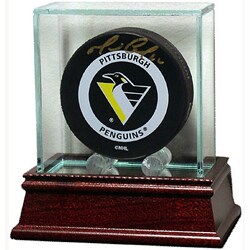 Glass Puck Case
