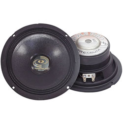 PylePro 400-watt Professional Premium PA 6-inch Woofer