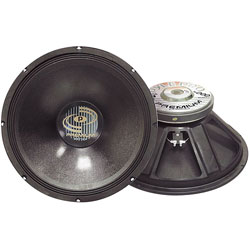 PylePro 1000-watt Professional Premium PA 18-inch Woofer