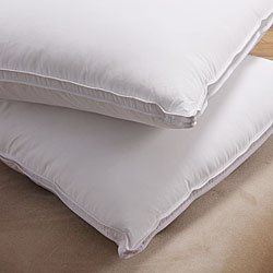 All-season Down Alternative Pillows (Set of 2)