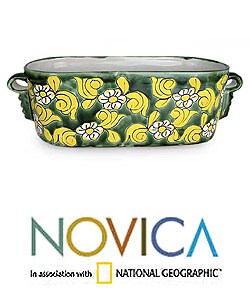 'Daring Daisies' Ceramic Planter (Mexico)
