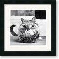 Cydney Conger 'Cat Fish' Framed Art Print