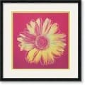 Andy Warhol Daisy (yellow on pink), 1982 Framed Print