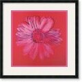 Andy Warhol Daisy (pink on red), 1982