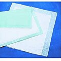 Medline Disposable Underpad, Polymer, Deluxe (Case of 100)