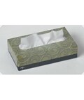 Premium 2-ply Facial Tissue (Case of 36)