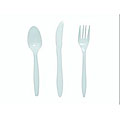 Medline Disposable Plastic Teaspoons, white (case of 1000)