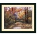 Diane Romanello Autumn Road Framed Art Prints