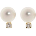 14k Gold 1/10ct TDW Cultured Akoya Pearl Earrings (7.5-8 mm)