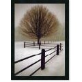 David Lorenz Winston Solitude Framed Canvas Art