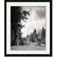 Ansel Adams Yosemite National Park Framed Art