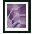 Steven N. Meyers Cyclamen/ Silver Framed Art Print