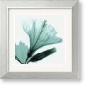 Steven N. Meyers Hibiscus & Bud Framed Art Print