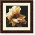 Charles Britt Timeless Grace I Framed Art Print