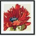Lynn Kelly Firelight II Framed Art Print