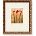 Schenck Calla Lilies on Birch Bark Framed Print