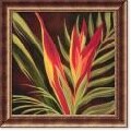 Yvette St. Amant Birds of Paradise II Framed Art Print