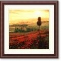 Steve Thoms Shades of Poppies Framed Art Print