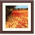 Steve Thoms Field of Red and Gold Framed Art Print