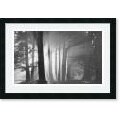 Mark Citret Morning, Harding Park, San Francisco Framed Art Print