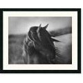 Tony Stromberg Fierce Grace Framed Art Print