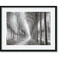Chip Forelli Tree Parade Framed Art Print